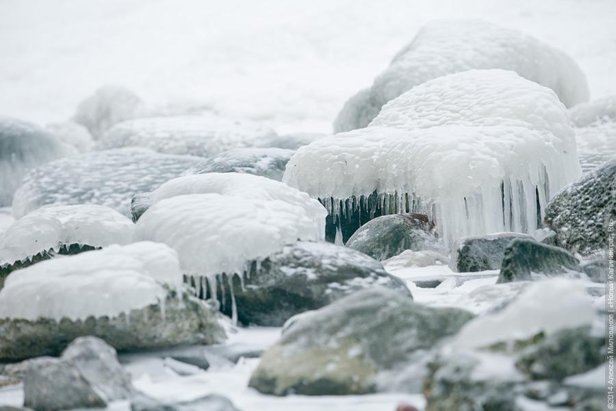 Недоморозило: холодам не удалось сковать льдом берег Балтийского моря