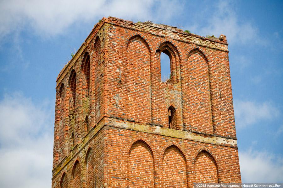 Навоз и куры: кирха 14-го века в поселке Каштаново стала пастбищем для скота