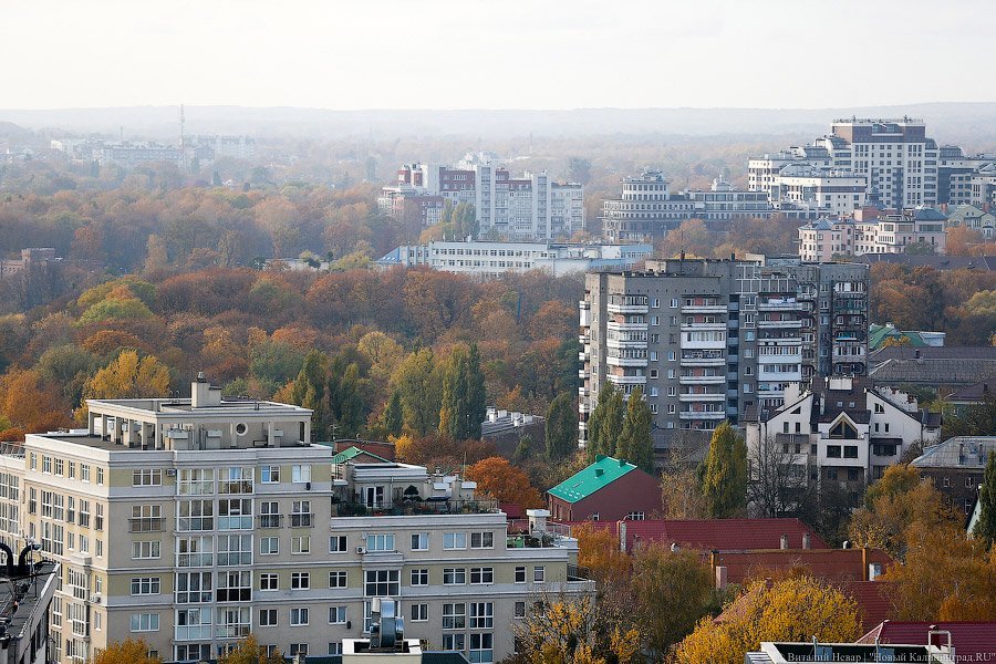 Фото — Виталий Невар, «Новый Калининград.Ru»