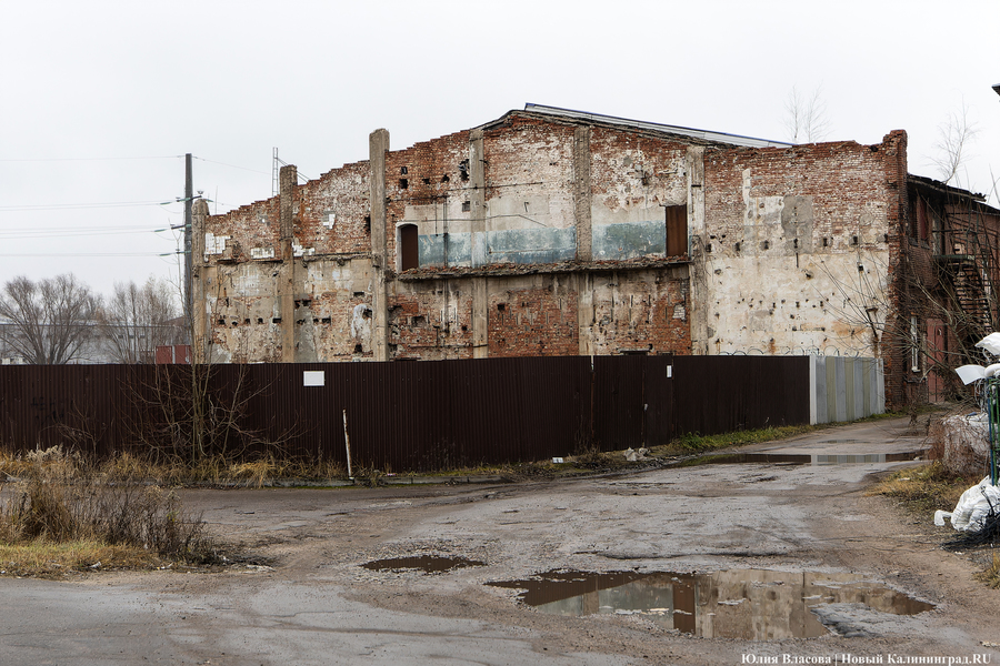 Постапокалиптический пейзаж: что происходит с территорией бывшего ЦБЗ-1 (фото)