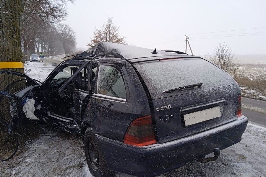 Под Зеленоградском «Мерседес» врезался в дерево, пострадали два человека (фото)