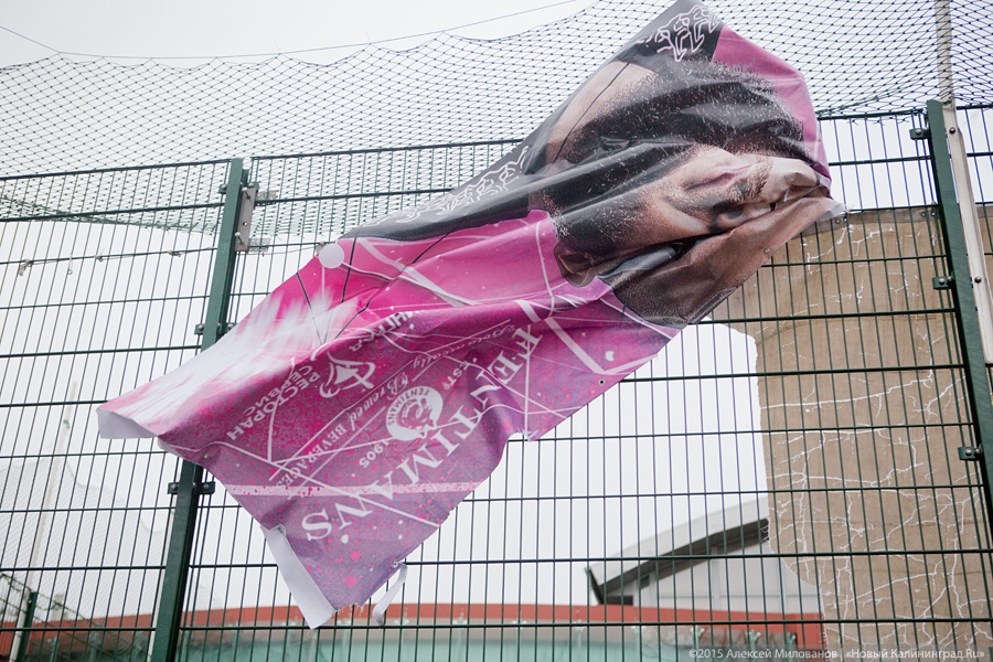 В Калининградской области с утра ветер повалил 34 дерева