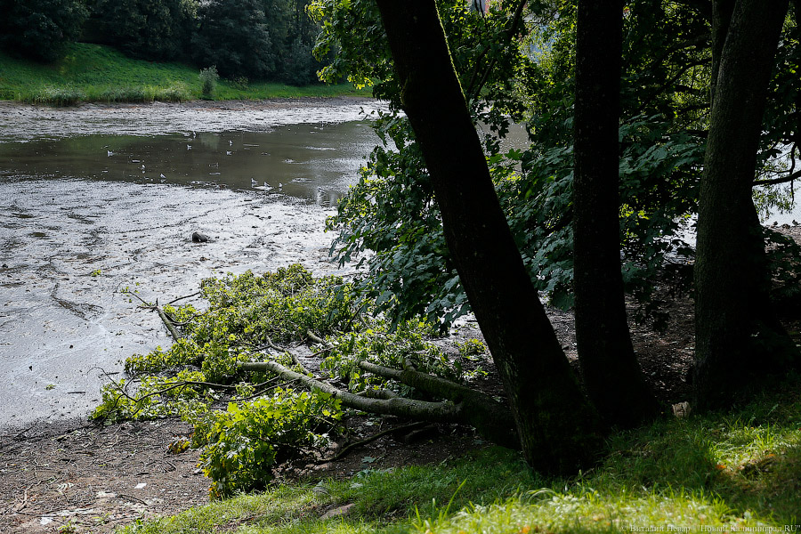 Нижнее сверху: набережная Нижнего озера перед ремонтом с высоты птичьего полёта