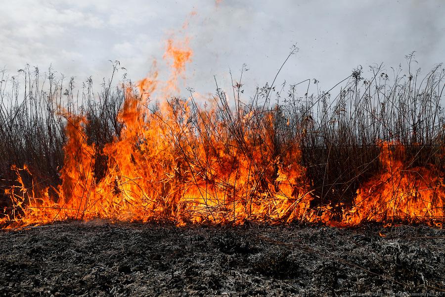 Гектары пожаров: за сутки в регионе зарегистрировано 18 случаев поджога травы