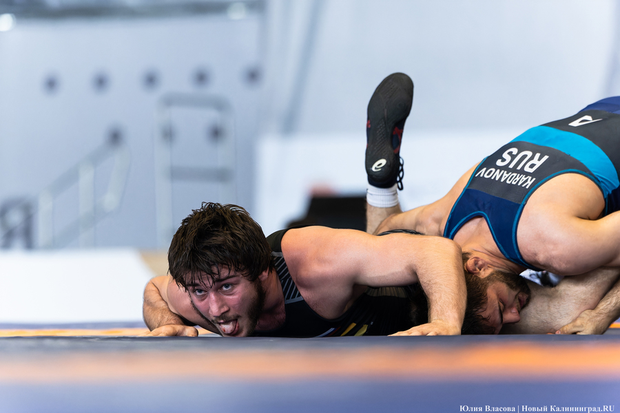 На пределе сил: в Калининграде прошел турнир по борьбе на Кубок Андрея Шумилина (фото)