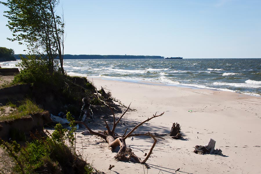 Проект для путепровода в Сокольниках разрабатывают по заказу компании Качановича