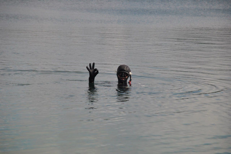 Фото: пресс-служба Музея Мирового океана