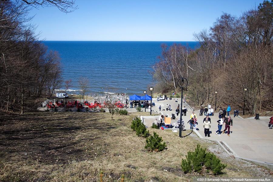 «Камбала и другие»: гастрономический фестиваль в Светлогорске