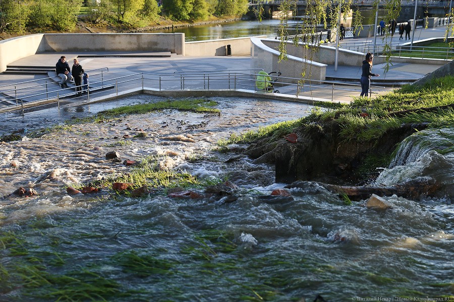 Набережная вышла из берегов: фоторепортаж с затопленной Трибуца