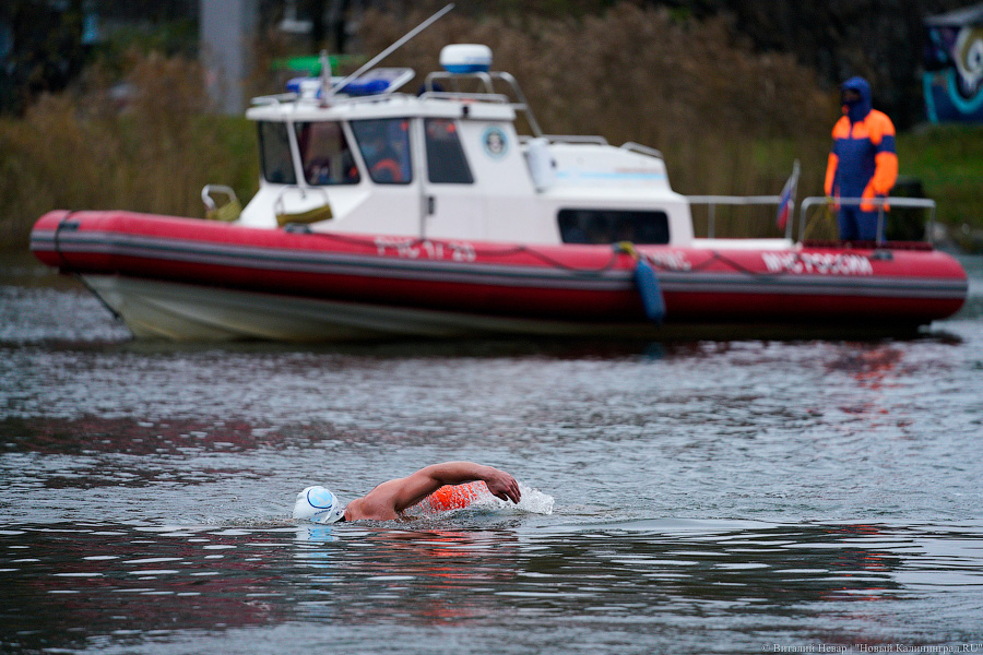 День моржа: как пловцы пытались защитить экосистему Преголи (фото)