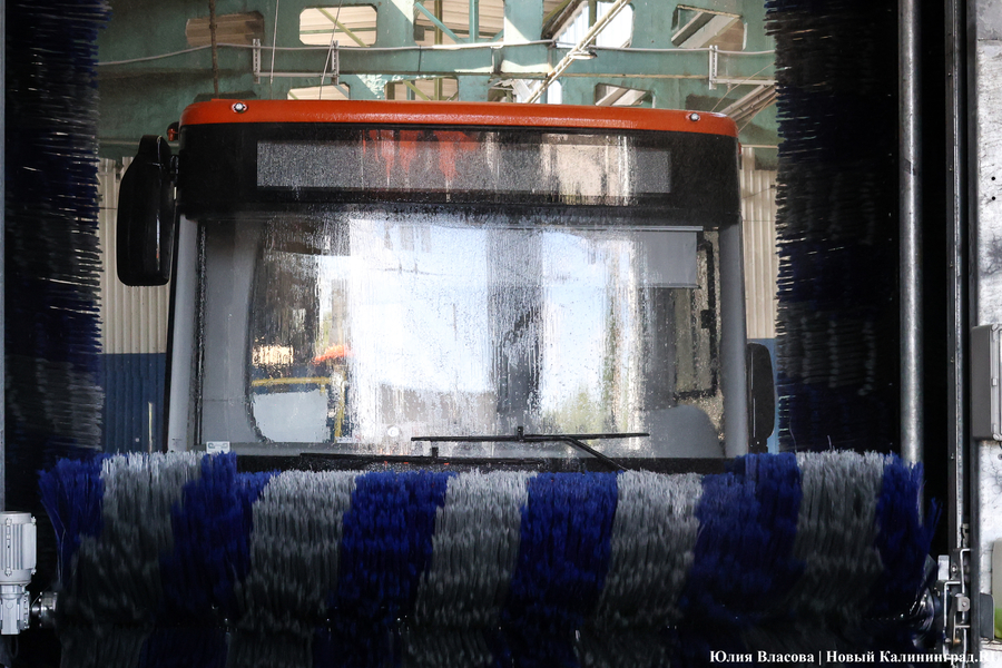 «Не надо искать особенностей»: в Калининграде на линию выпустили новые ЛиАЗы (фото)