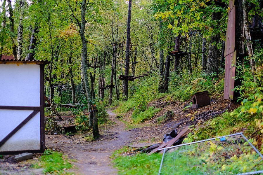 Муза освоения: как за федеральные деньги благоустраивают парк в Светлогорске