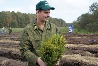 В октябре в регионе посадили 73 тыс деревьев