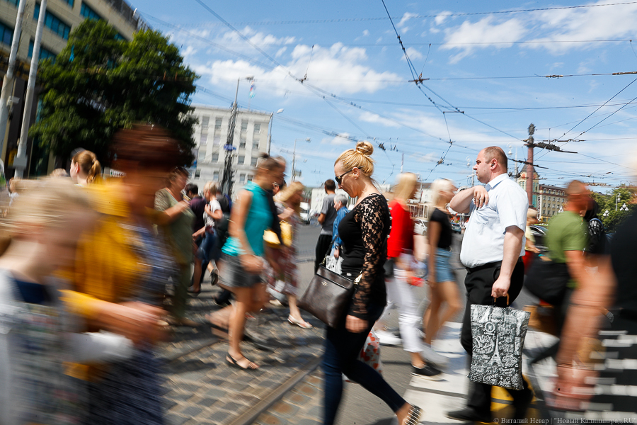 Лило: число самозанятых в Калининградской области за месяц выросло вдвое