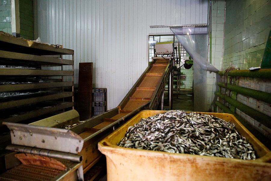 Без паники и спасибо Путину: что думают производители хлеба и консервов о продовольственном эмбарго