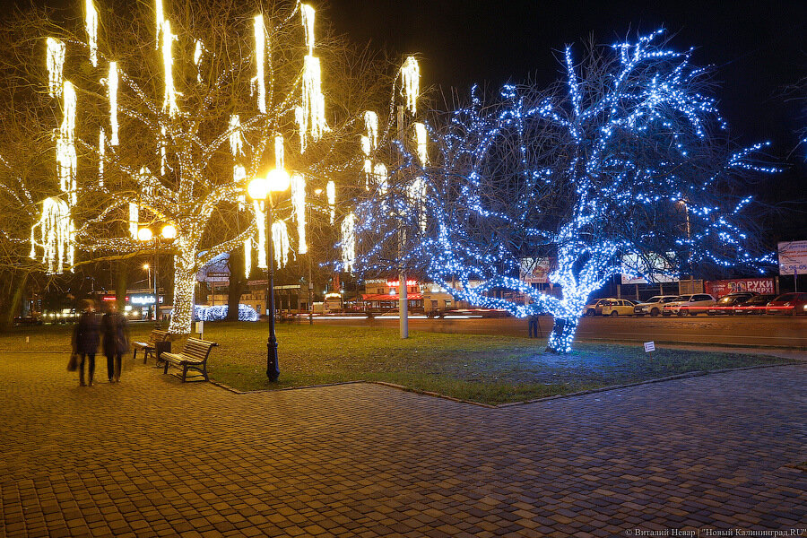 Торги по новогоднему оформлению Калининграда на 18 млн рублей выиграла одна фирма