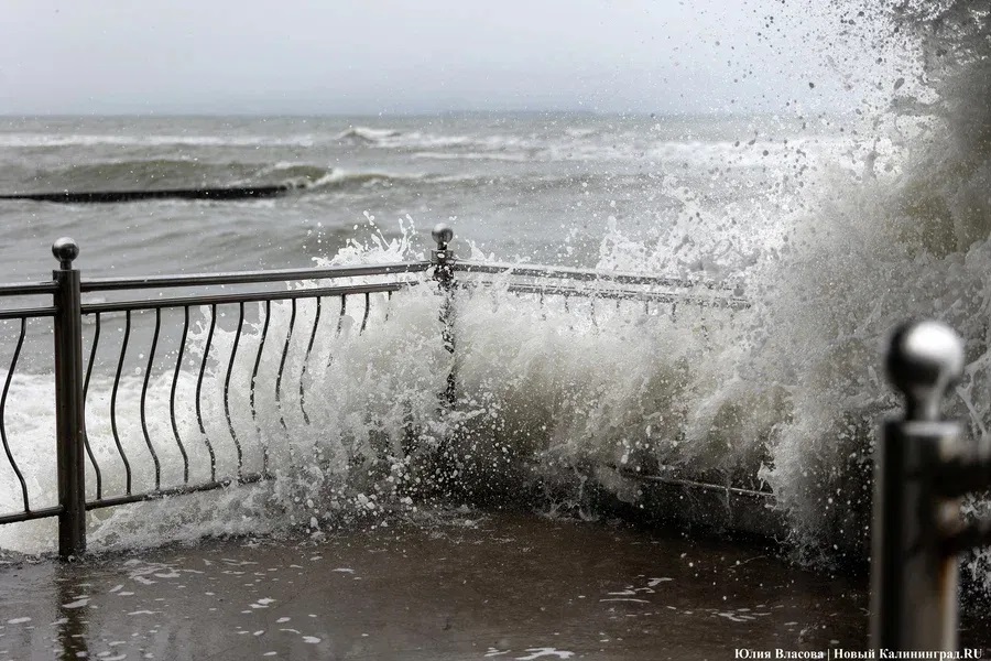 МЧС предупреждает об усилении ветра в Калининградской области