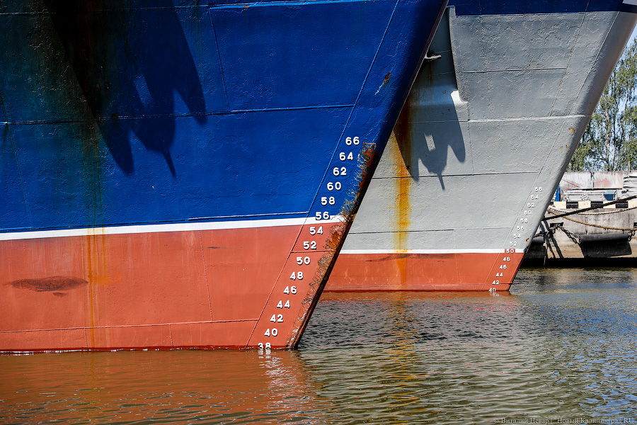 Облвласти: на субсидирование морских перевозок в Калининград нужно 4 млрд рублей