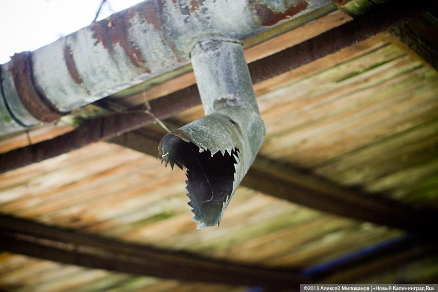 Почти Япония: вилла на Чапаева в проекте «Пустые дома»