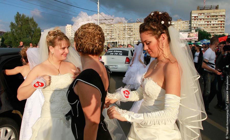 "День города-2010, три": фоторепортаж "Нового Калининграда.Ru"