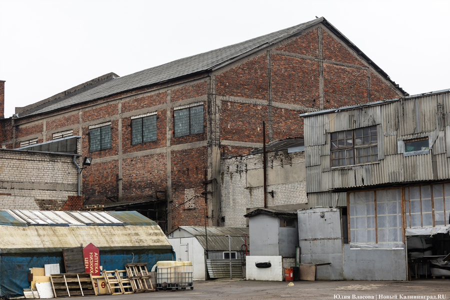 Постапокалиптический пейзаж: что происходит с территорией бывшего ЦБЗ-1 (фото)