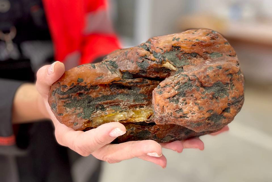 На Янтарном комбинате добыли второй самородок в сезоне (фото)