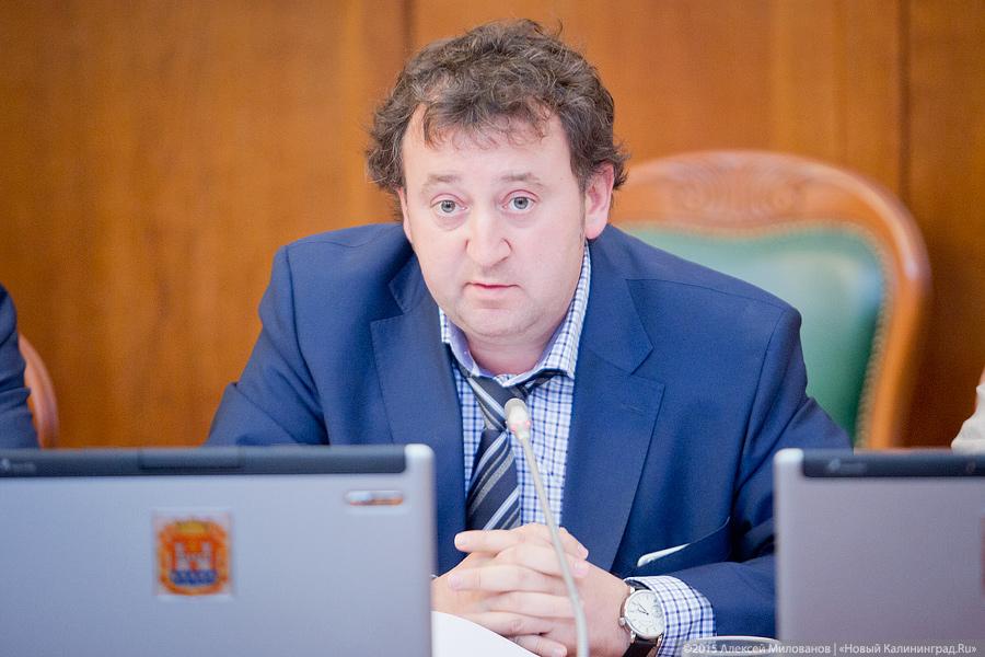 Аэропорт-рука-лицо: как чиновники про будущее «Храброво» слушали (фото)