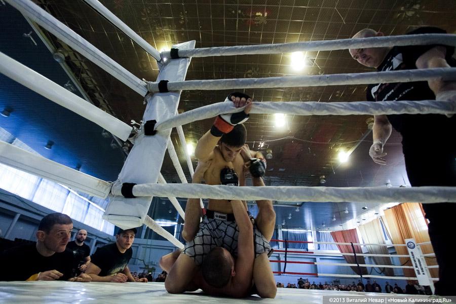 «Сопли в сторону»: фоторепортаж с Чемпионата области по смешанным единоборствам