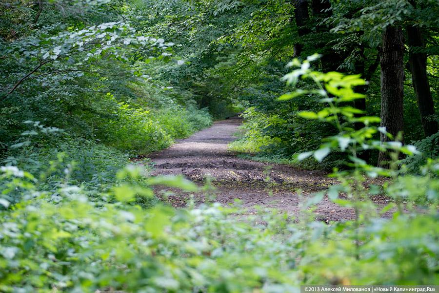 В ожидании чуда: судьба Макс-Ашманн-парка
