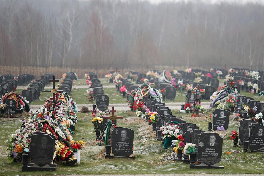 «До них дошло»: открытое письмо ветерана о «Кургане славы» попало в цель