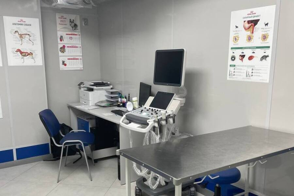 Государственная ветеринарная клиника: забота о здоровье домашних питомцев