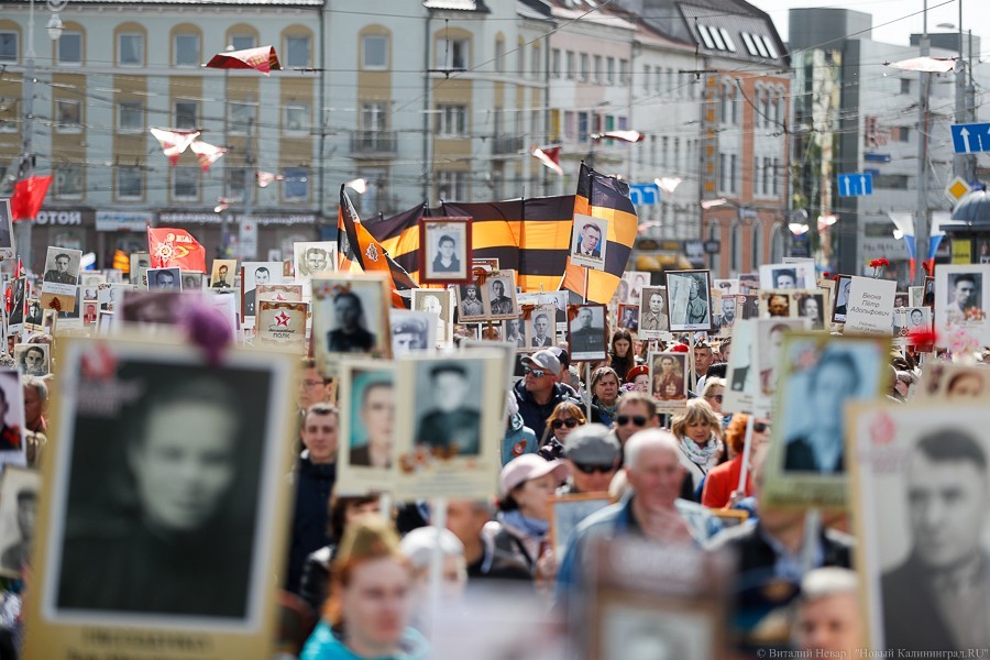 «Никто не забыт»: по улицам Калининграда прошел «Бессмертный полк»