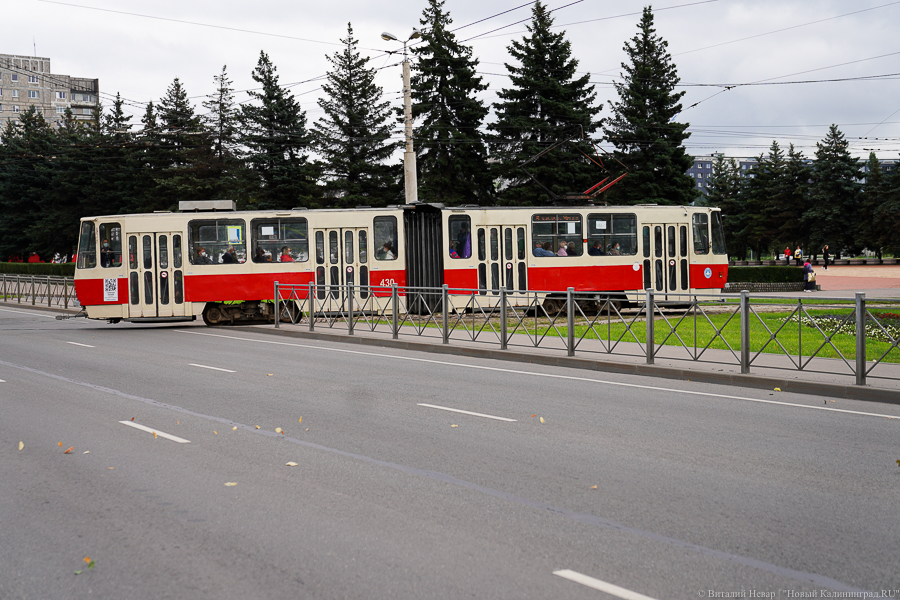 В мэрии Калининграда анонсировали появление трамвайных остановок-островков