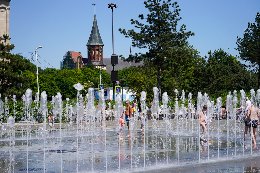 В Калининградской области возник дефицит осадков