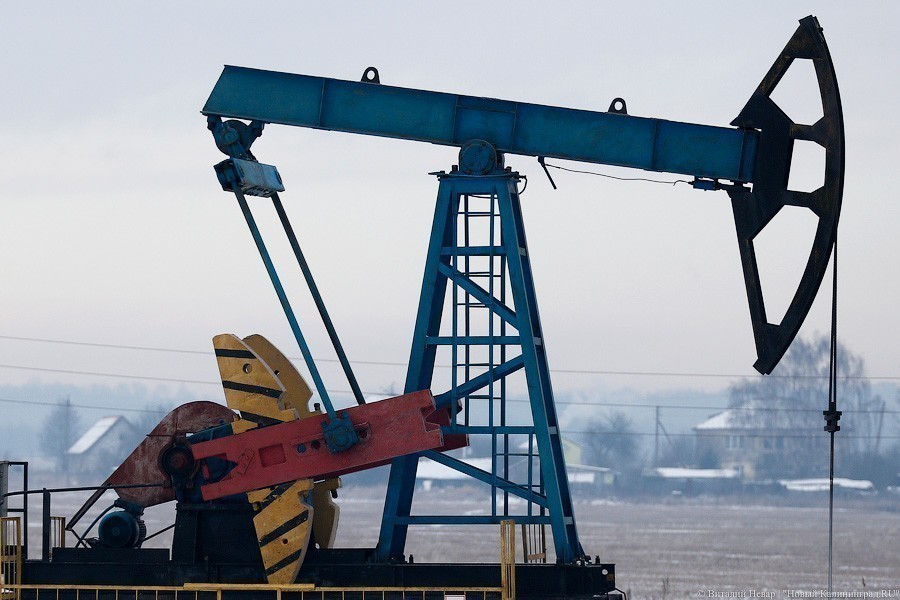 Власти РФ: рост цен на бензин «соответствует параметрам соглашений» с нефтяниками