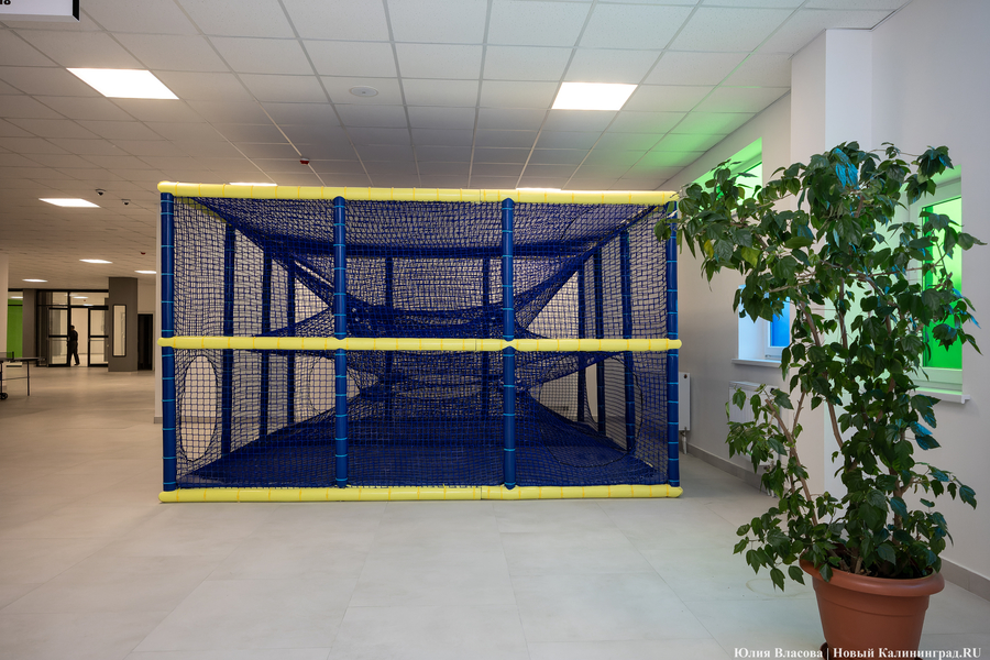 От дрона до 3D-принтера: в Калининграде открылась «школа для школы» на Каштановой аллее (фото)