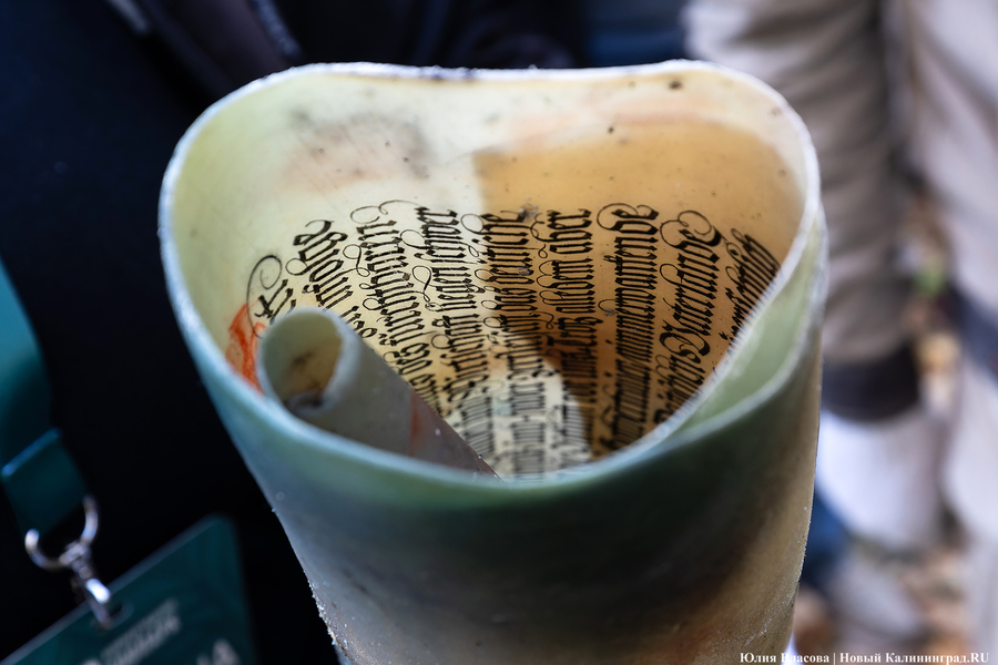 Зоопарк: извлечённый из капсулы времени пергамент будет передан в музей