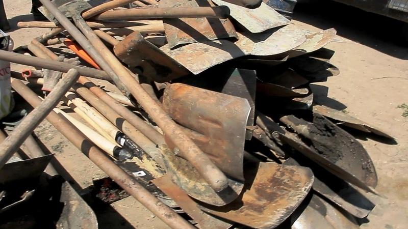 Под Зеленоградском полиция задержала 29 «черных копателей» янтаря (фото)