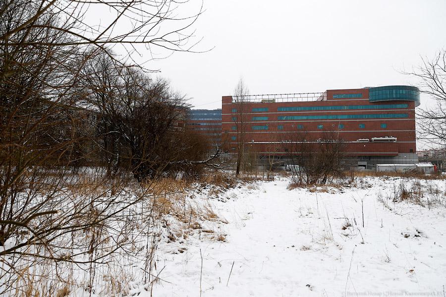 Фото — Виталий Невар, «Новый Калининград.Ru»,