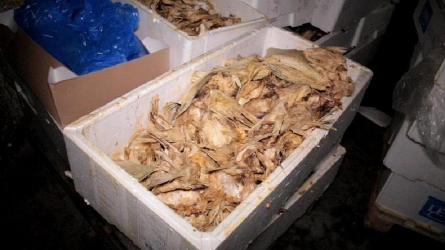 Полиция обнаружила в Балтийске незаконный рыбный цех, в котором работали нелегалы (фото)
