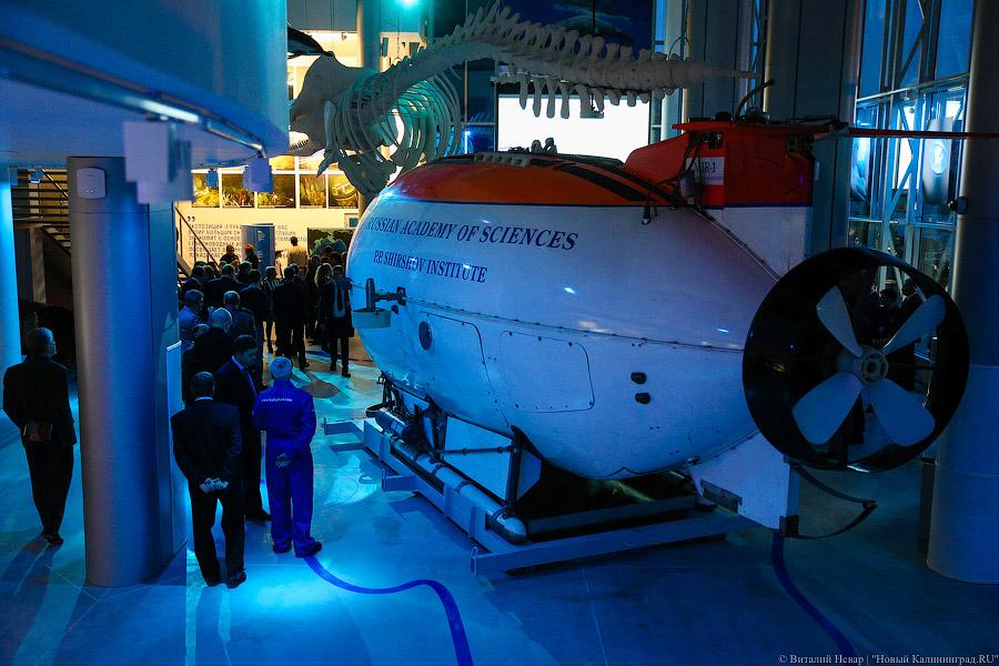 На уникальной глубине: что представляет собой новый комплекс ММО