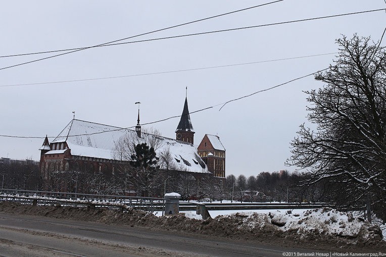 Фото — Виталий Невар, «Новый Калининград»