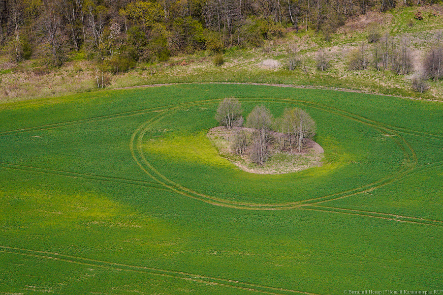 Пробки с воздуха: как прошла генеральная репетиция парада в Калининграде (фото)