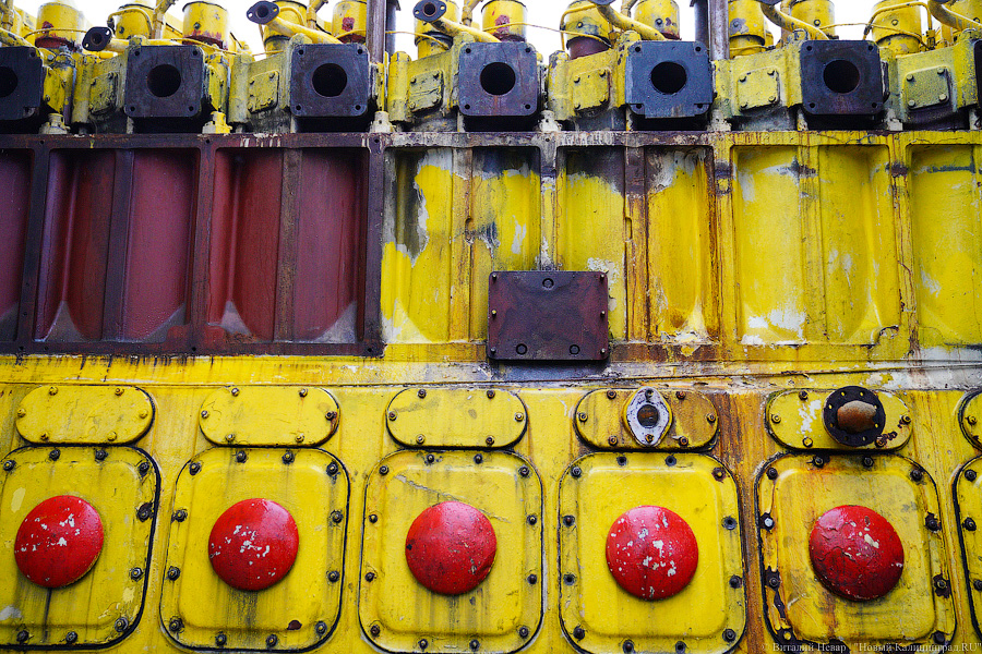 25 экваторов: двигатель «Крузенштерна» стал экспонатом Музея Мирового океана (фото)