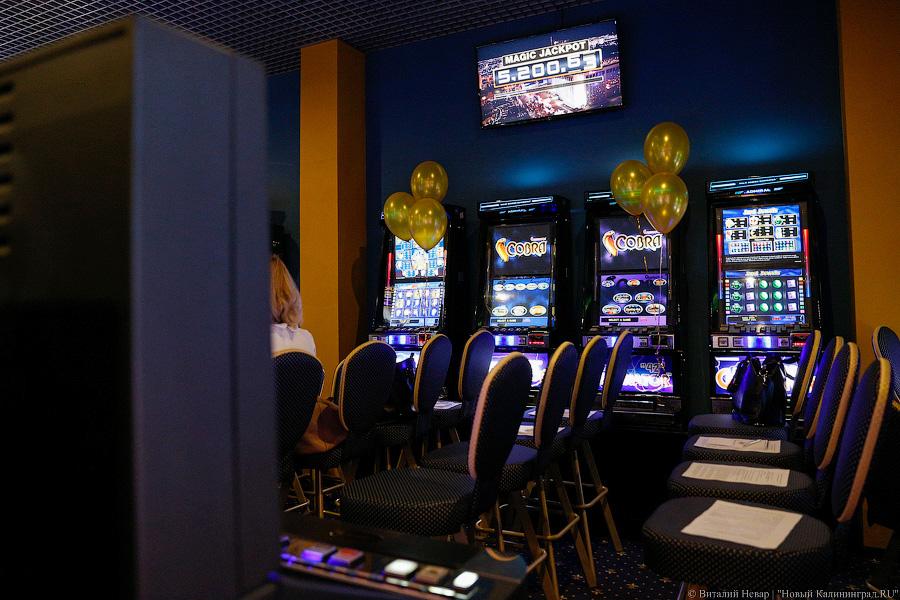 Без блэкджека: что представляет собой «балтийский Лас-Вегас» в Куликово