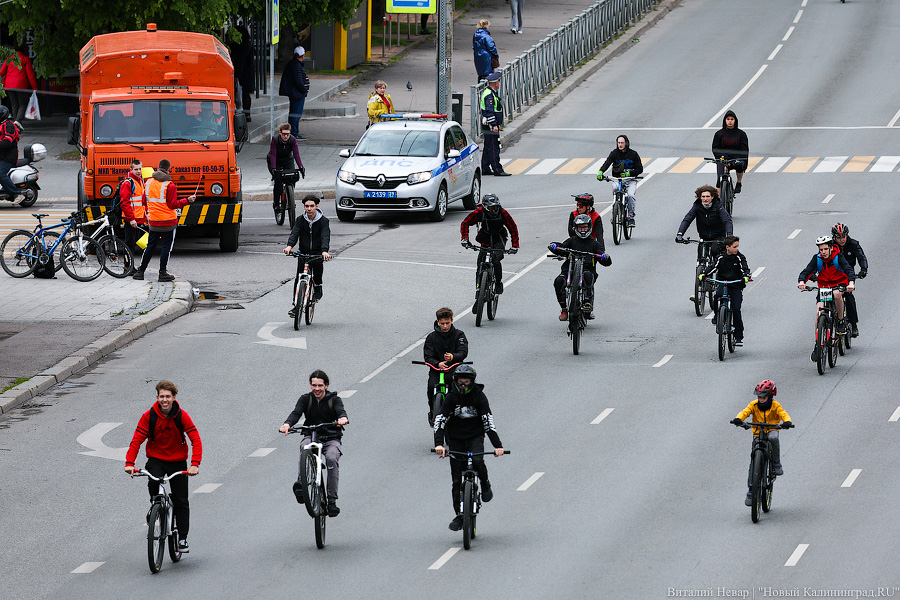 Лыжи, велики, унициклы: как прошёл велопарад в Калининграде (фото)