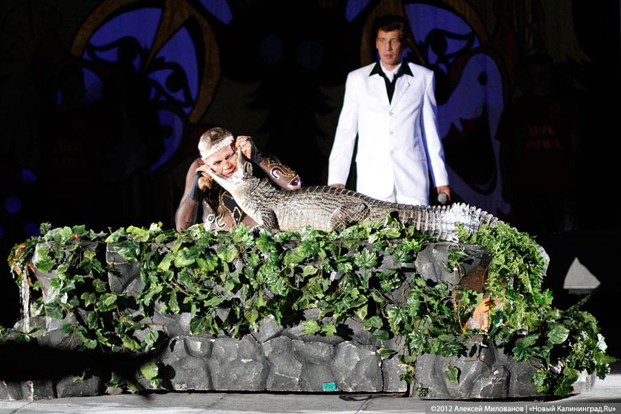 «Цирк в подарок»: фоторепортаж c премьеры цирковой программы