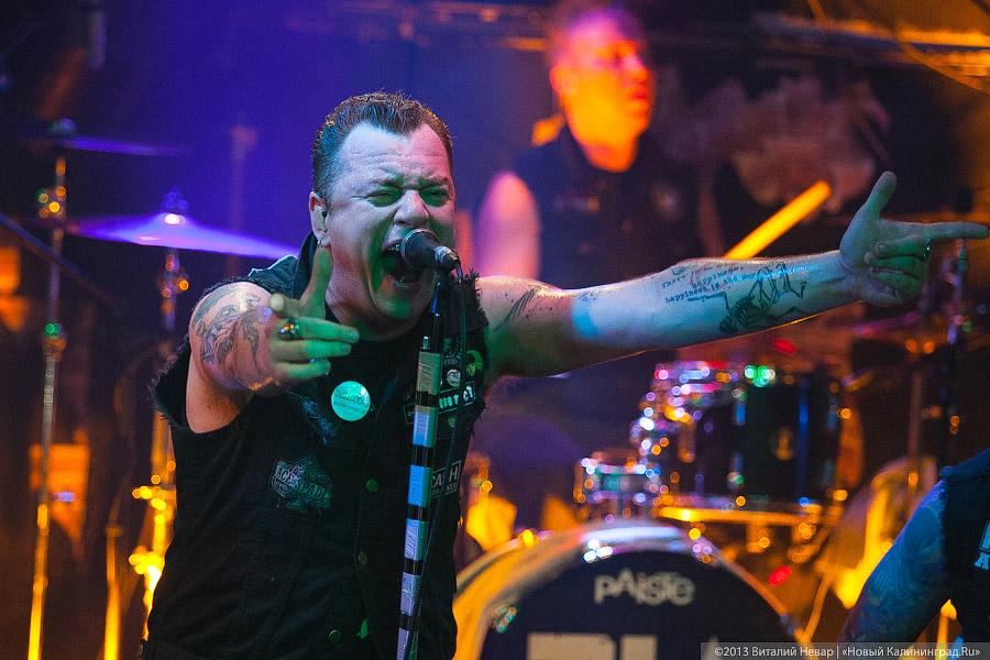 Без инсектицидов: в клубе «Кури Бамбук» дала концерт группа «Тараканы!»