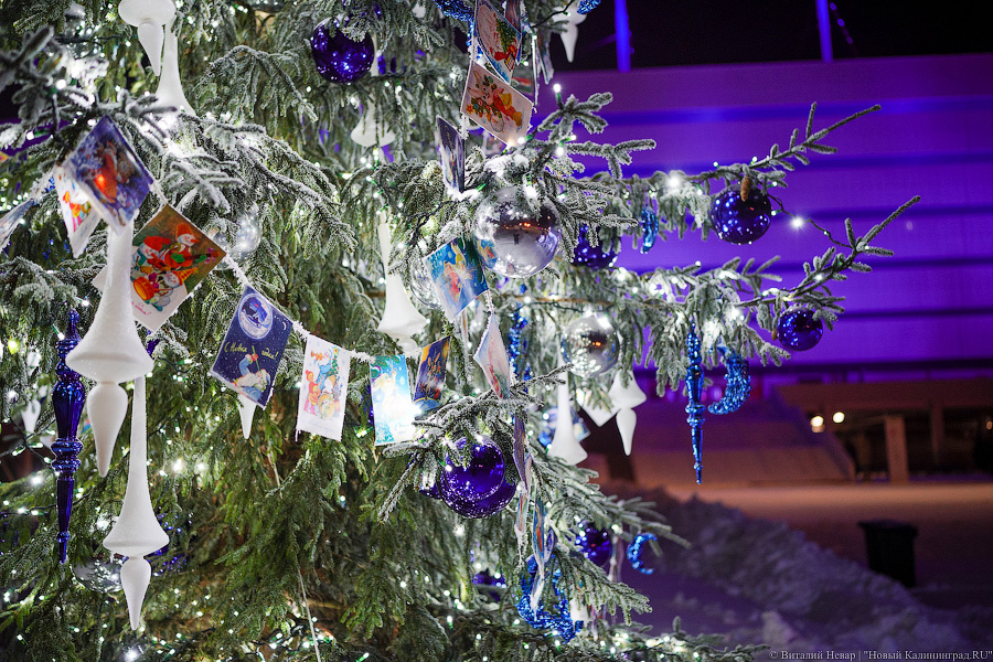 Свая Эдик вместо Снегурочки: у стадиона «Калининград» появился Домик Деда Мороза (фото)