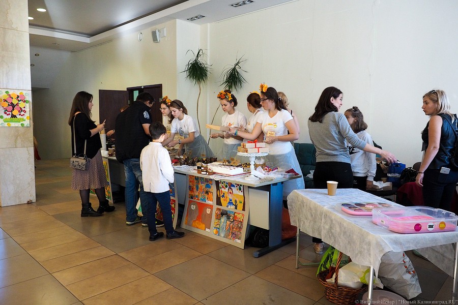 Традиционное осеннее добро: как прошел Благотворительный фестиваль шарлотки